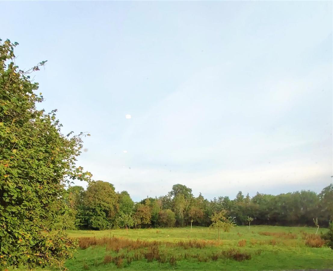 Les Hirondelles - Bord De Et Campagne Tracy-sur-Mer
